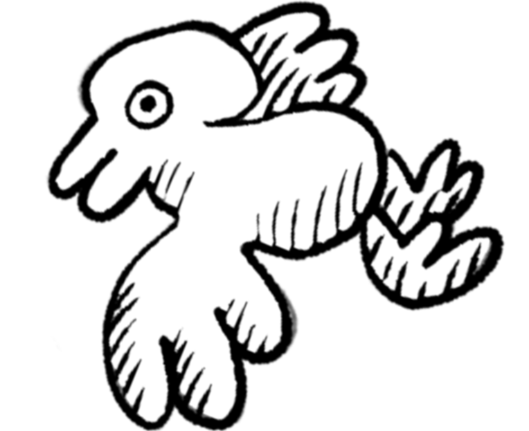 drawing of a bird